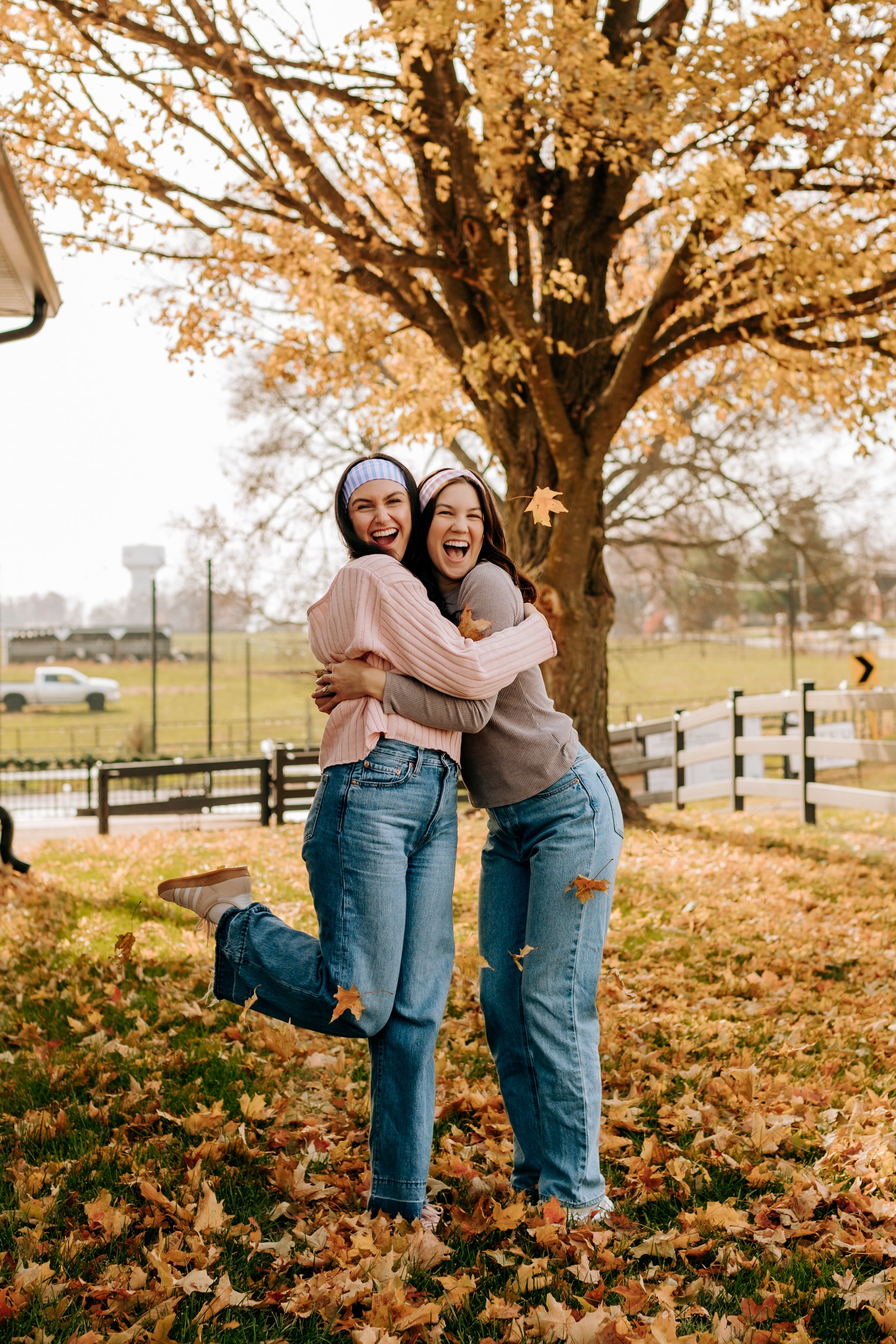 The Lineup in Purple
