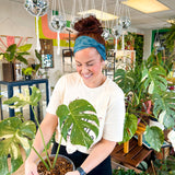 Adult women's dark teal headband with white outline of Monstera plant leaves